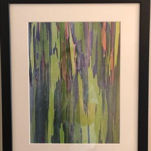 Rainbow eucalyptus tree bark framed print